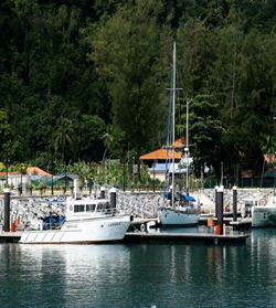 development-project-marina-tioman.jpg